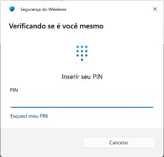 Windows Hello Prompt